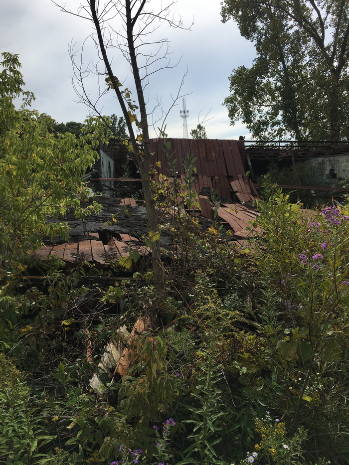 Denniston Drive-In Theatre - Oct 1 2016 Photo